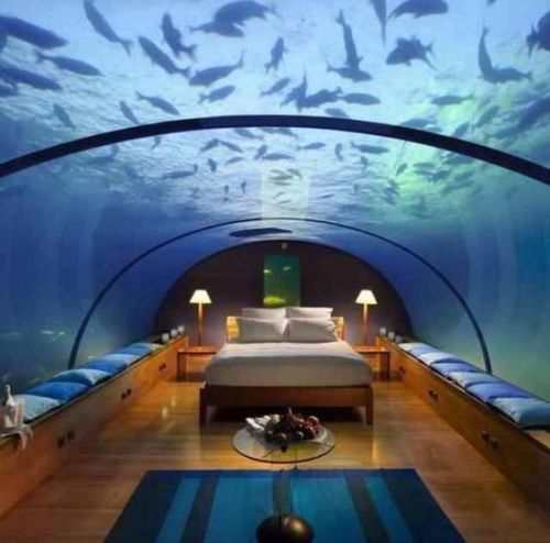 aquarium bedroom